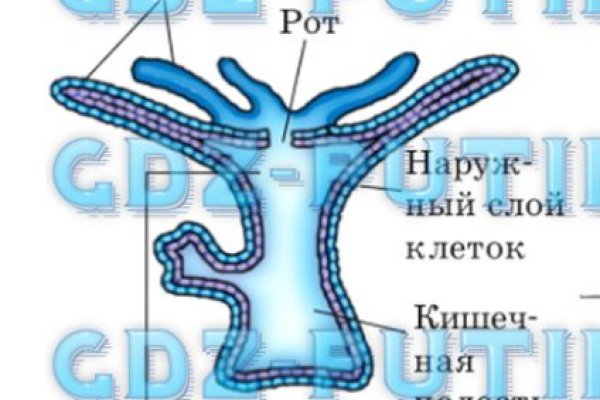 Кракен адрес